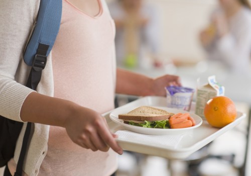 The Impact of Free and Reduced Lunch Programs on Schools in Anoka County, Minnesota: An Expert's Perspective