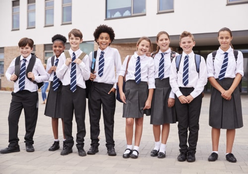 The Impact of Class Size on Student Learning in Anoka County, Minnesota